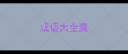 成语大全囊