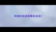 洞滴的成语有哪些成语