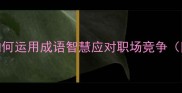 卷土重来如何运用成语智慧应对职场竞争附实战案例
