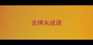含婢夫成语