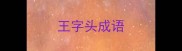 王字头成语