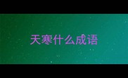 天寒什么成语
