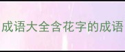 成语大全含花字的成语