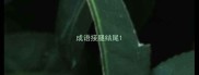 成语接腿结尾
