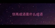 信高成语是什么成语