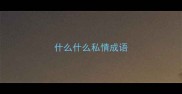 什么什么私情成语