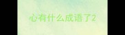 心有什么成语了