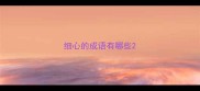 细心的成语有哪些