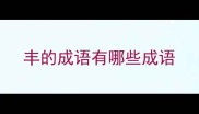 丰的成语有哪些成语