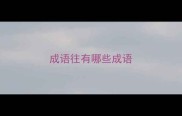 成语往有哪些成语