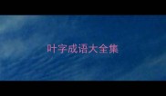 叶字成语大全集