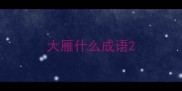 大雁什么成语