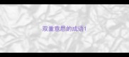 双重意思的成语
