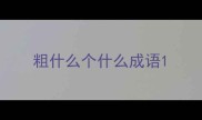 粗什么个什么成语