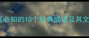 街头巷尾必知的10个经典成语及其文化内涵