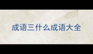 成语三什么成语大全