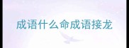 成语什么命成语接龙