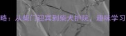 柴字成语全攻略从柴门迎宾到柴犬护院趣味学习成语接龙技巧