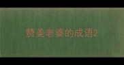 赞美老婆的成语