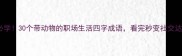 必学30个带动物的职场生活四字成语看完秒变社交达人