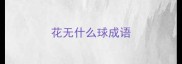 花无什么球成语