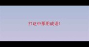 打这中那用成语