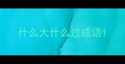 什么大什么过成语