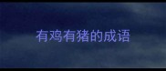 有鸡有猪的成语