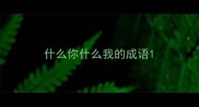 什么你什么我的成语