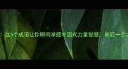 力大无穷这5个成语让你瞬间掌握中国式力量智慧最后一个太圈粉了