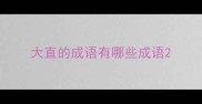 大直的成语有哪些成语