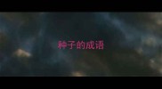 种子的成语