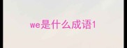 we是什么成语