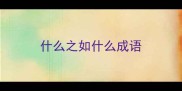 什么之如什么成语