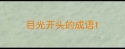 目光开头的成语