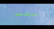 成语什么脸什么心