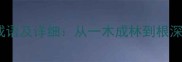 包含桩字的36个成语及详细从一木成林到根深蒂固的深度解读