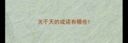 关于天的成语有哪些
