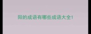阳的成语有哪些成语大全