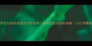 什么风什么舵的成语及巧妙运用职场与生活进阶指南小红书爆款干货
