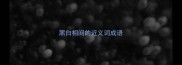 黑白相间的近义词成语