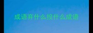 成语弃什么投什么成语