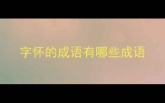 字怀的成语有哪些成语