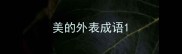 美的外表成语