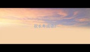 祝长寿成语