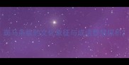 斑马条纹的文化象征与成语智慧探析