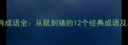十二生肖成语全从鼠到猪的12个经典成语及其寓意