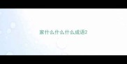 家什么什么什么成语