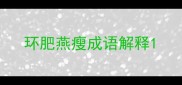 环肥燕瘦成语解释
