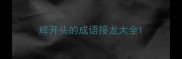 辉开头的成语接龙大全